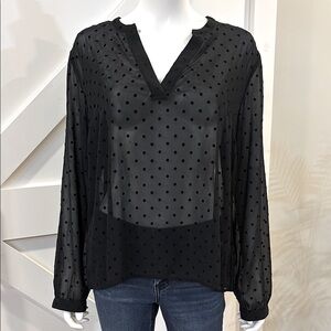 FINAL PRICE! NWT Chiffon Velvet Polkadot Sheer Long Sleeve Flowy Blouse Top